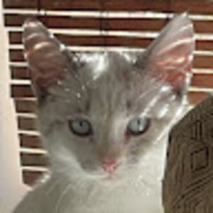 Meet your Posher, Karie